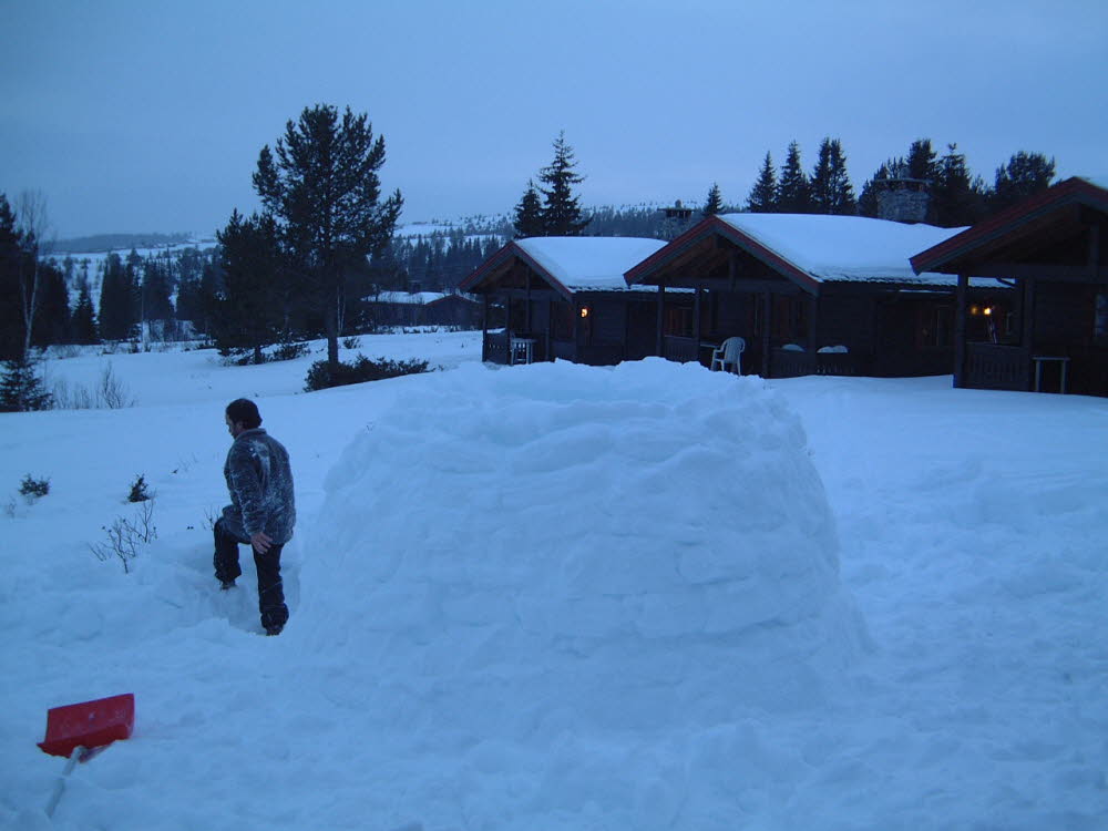 Die letzten Schollen